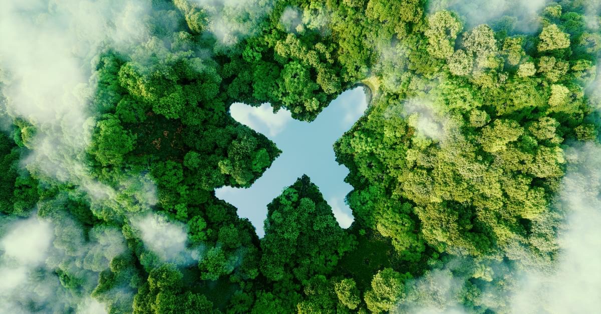 Sustainability-flying-1;