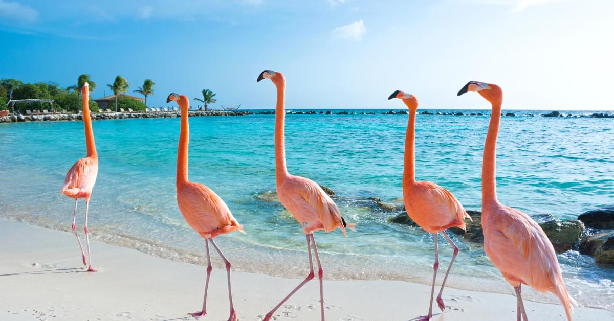 Retirement Visa Aruba.min
