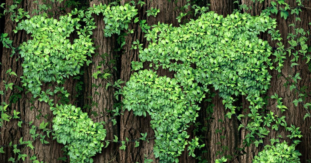 greenest economy in the world.min