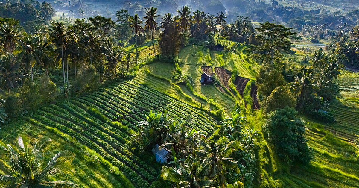 bali